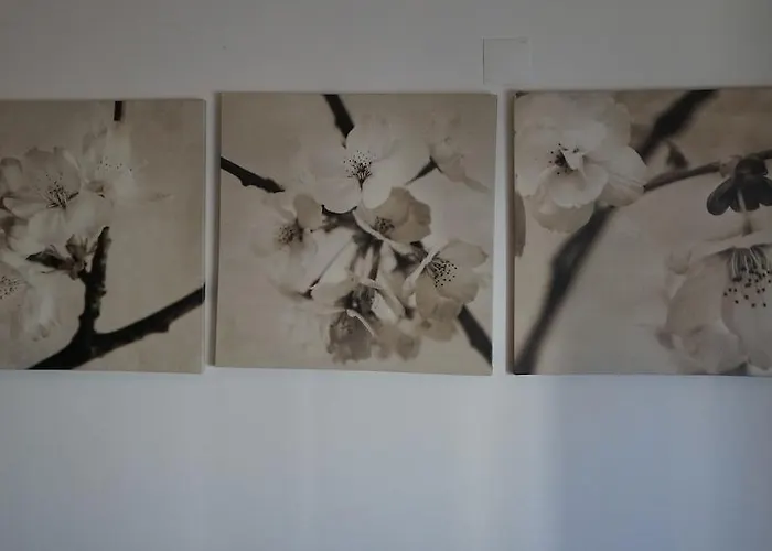 ゲストハウス Residencial Ponto Certo *