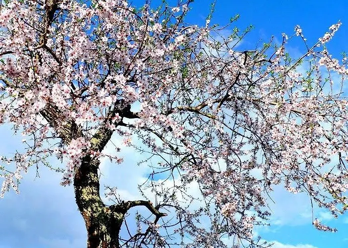 ゲストハウス Residencial Ponto Certo